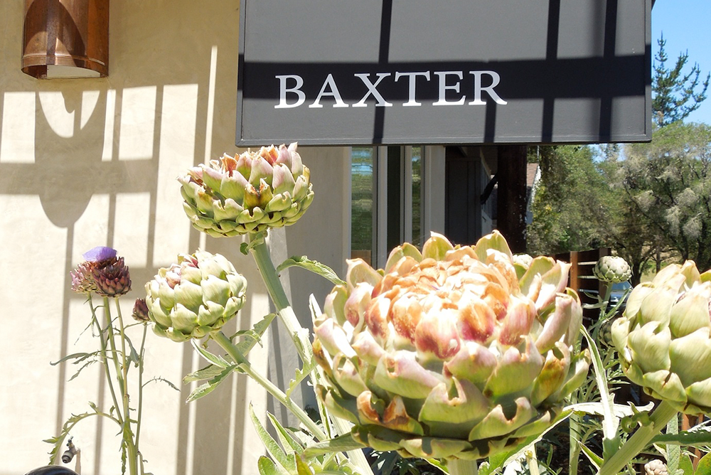 Baxter Winery