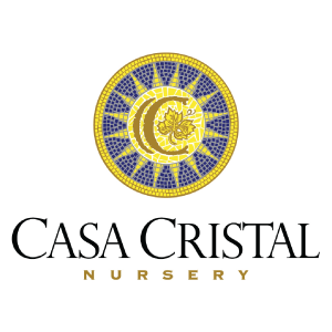 Casa Cristal Vineyard Nursery