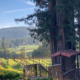 Hacienda Sequoia Vineyards
