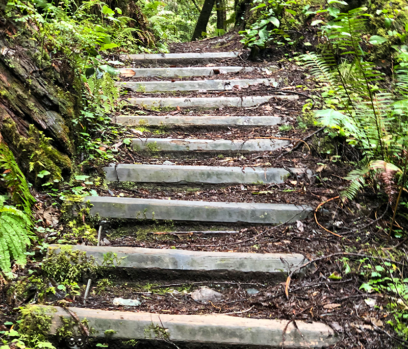Mendocino CA Hike Path