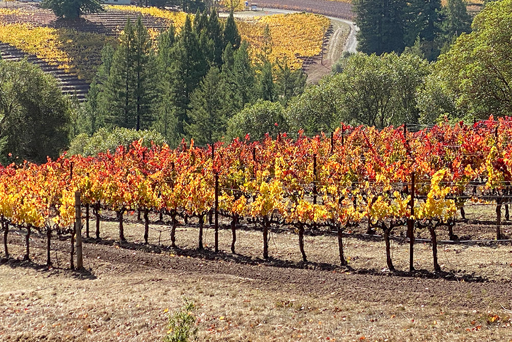 fall colors anderson valley