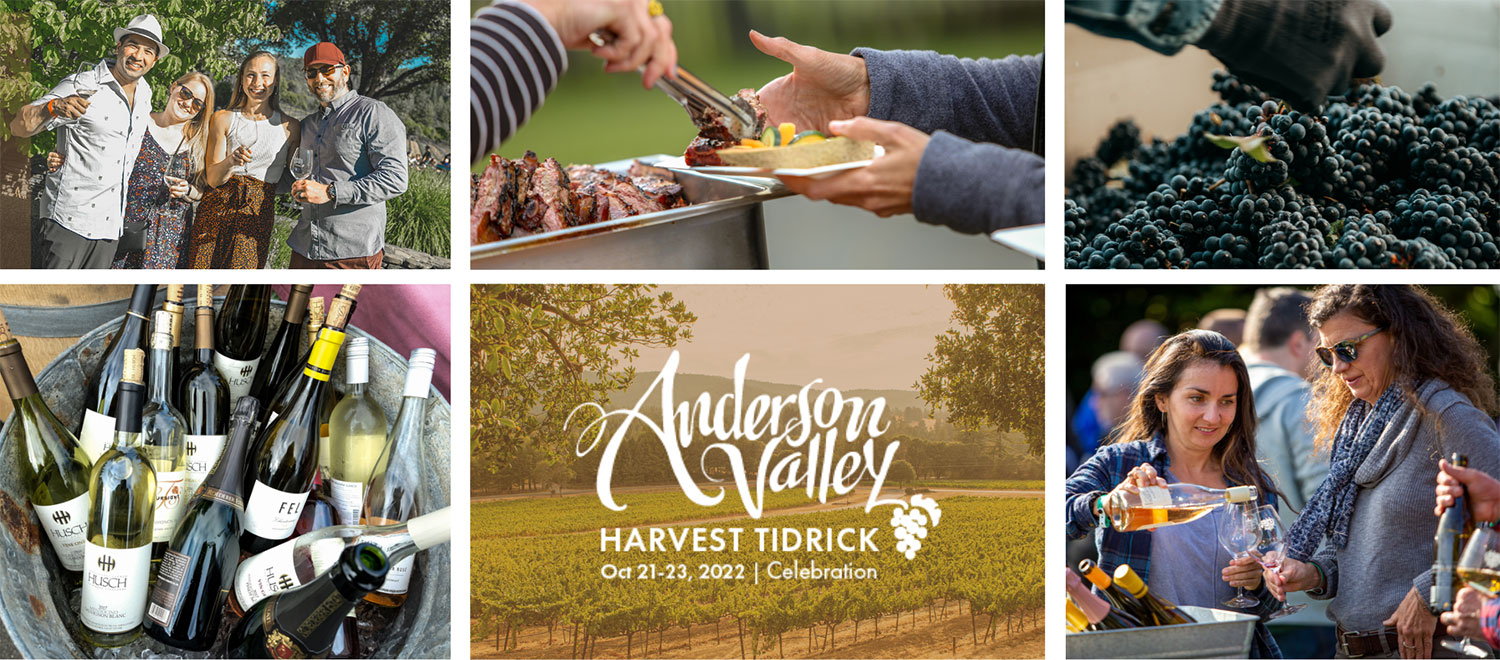 Harvest Tidrick Celebration