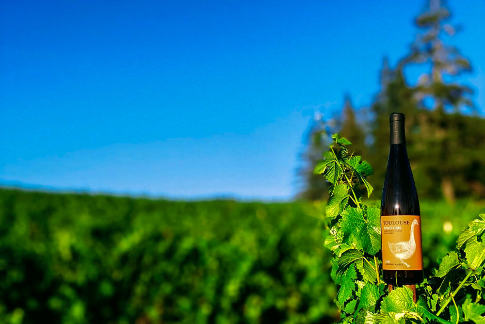 anderson valley vineyard wine