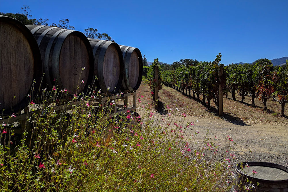 anderson valley wine barrels and vineyard