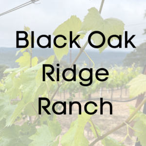Black Oak Ridge Ranch Winery Pinot Noir