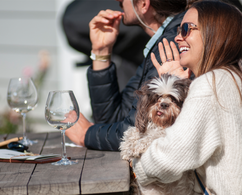 Dog-friendly wineries San Francisco