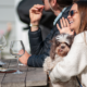 Dog-friendly wineries San Francisco