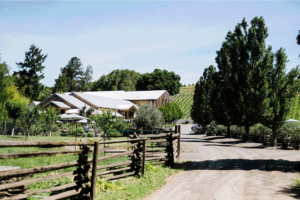 Twomey Cellars Anderson Valley Tasting Room