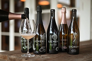 Lichen Open house IWWF