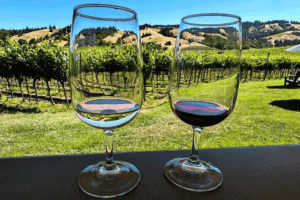 Two glasses at Navarro Winery