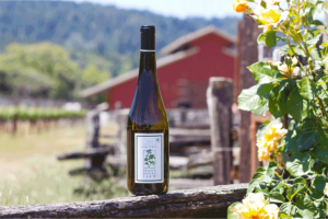 Penny royal farm wine bottle