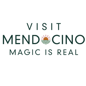 VMC-Magic-is-Real-Logo