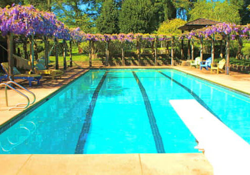 Wild Iris Accommodations