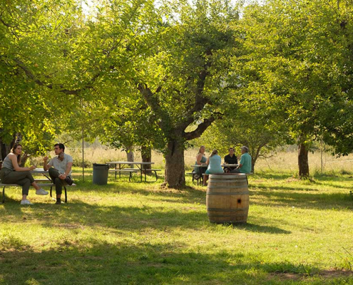 Hard Cider Tasting Event