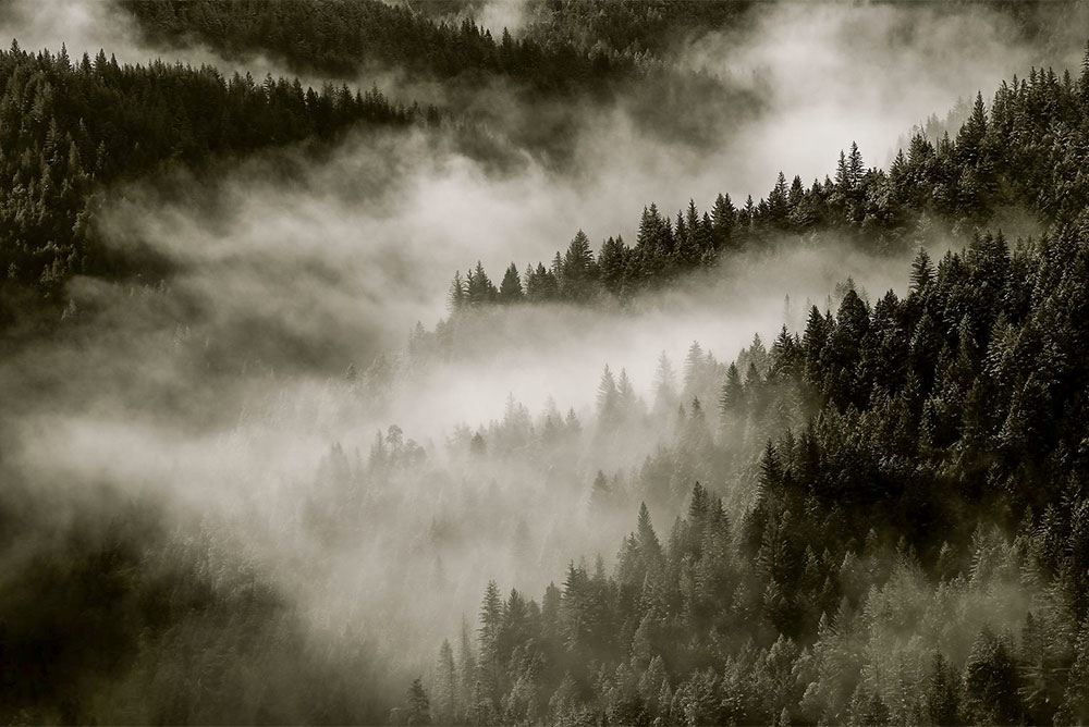 mendocino county fog