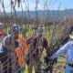 vineyard pruners and vine