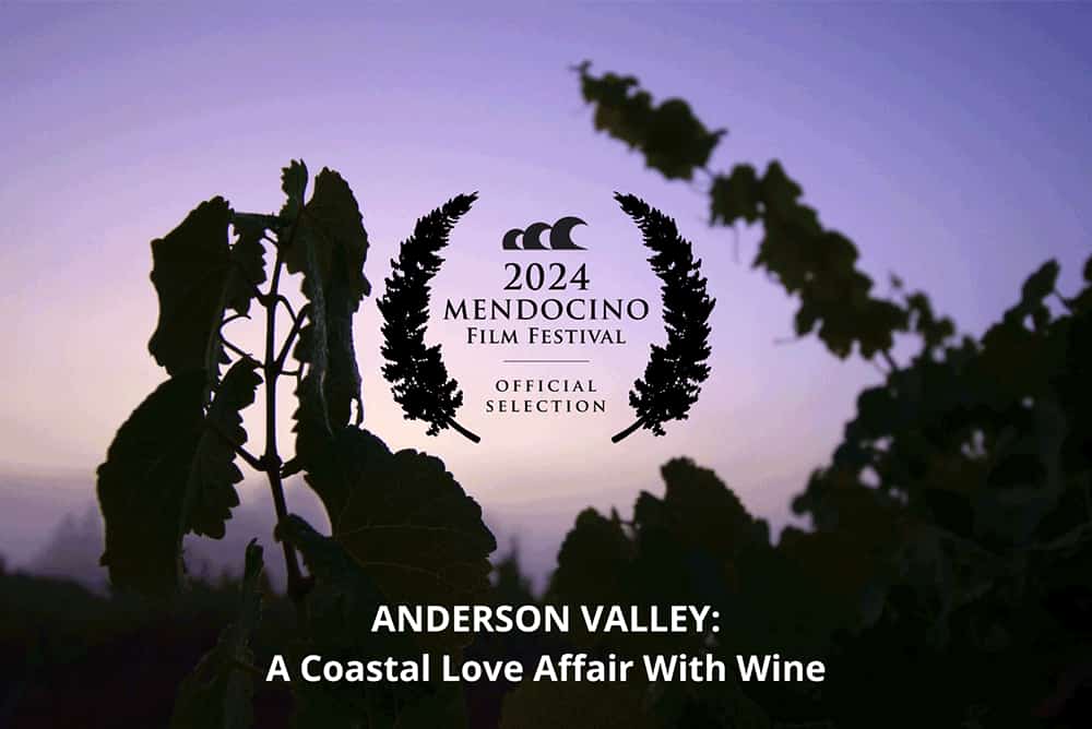 Anderson Valley A Coastal Love Affair of Wine Documentary