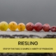 Spectrum of riesling grapes