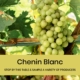 Chenin Blanc Grape Cluster