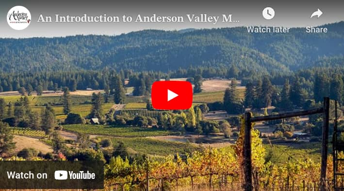 Vineyard You Tube Video