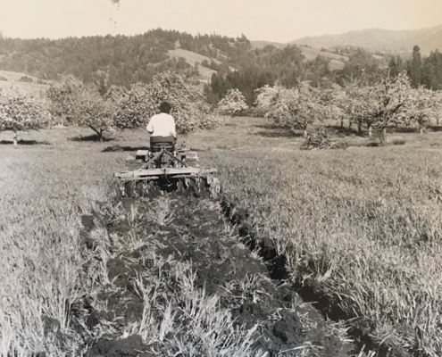 Brad Wiley on Plow black and white