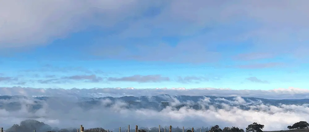 Skycrest Vineyard Boonville California | Wine Country California | Andeson Valley Wines