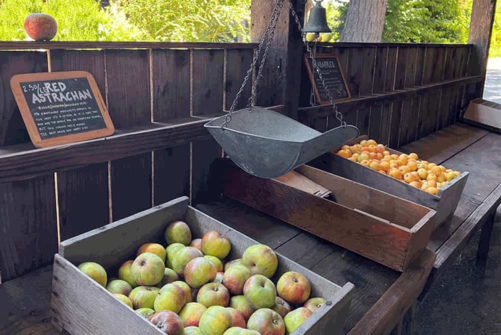 self pay apple stand philo
