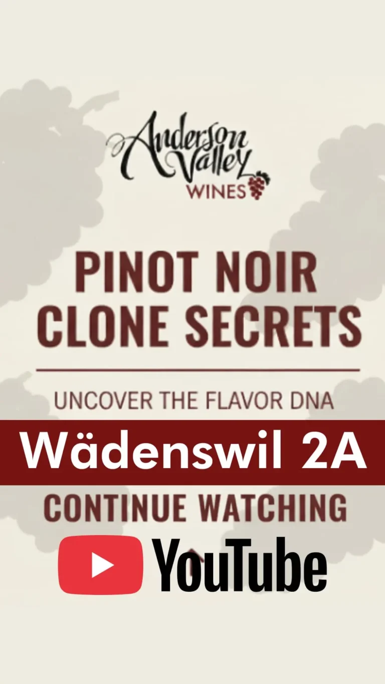 Pinot Clone Wadenswil 2A Maggy Hawk | Wine Country California | Andeson Valley Wines