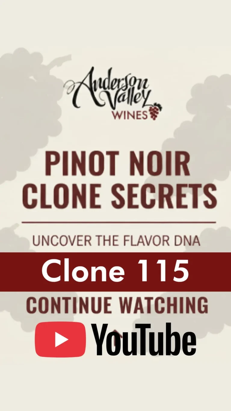 Pinot Noir Clone 115 the Complete Clone with Jason Drew | Wine Country California | Andeson Valley Wines