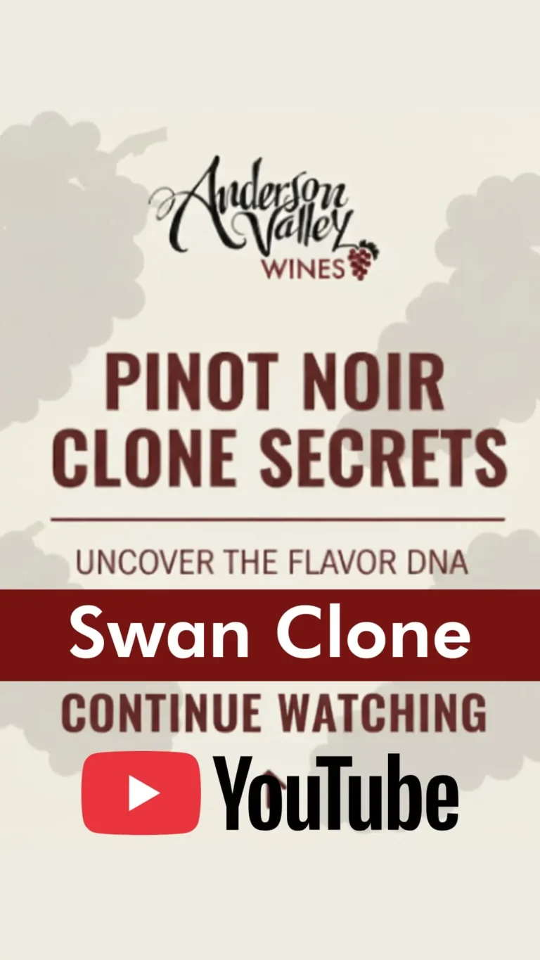 Pinot Noir Clone Reel Template 1 | Wine Country California | Andeson Valley Wines