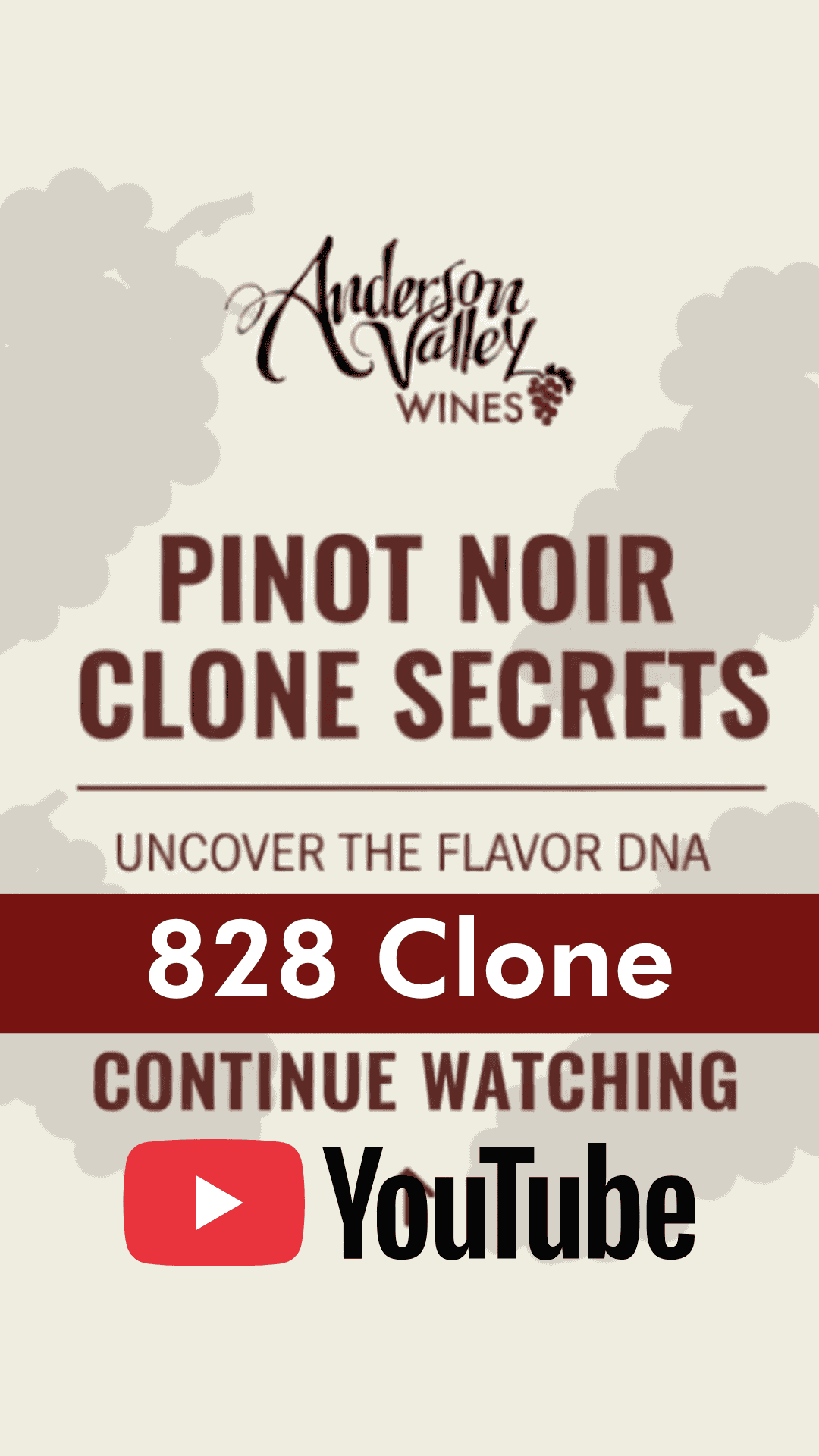 Pinot Noir 828 Clone YouTube Clone Secrets Phil Baxter video