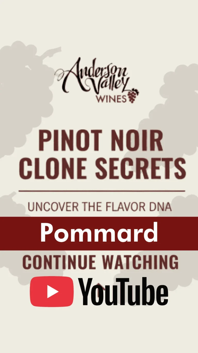 Pinot Noir Profile Pommard 05 | Wine Country California | Andeson Valley Wines
