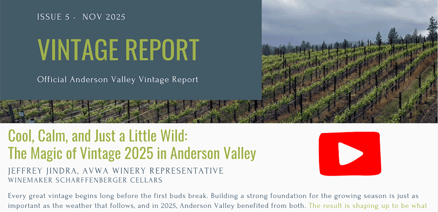 2025-Vintage-Harvest-Report-YouTube