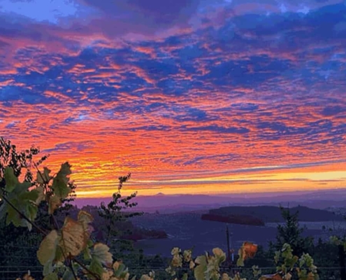 Black-Oak-Ridge-Ranch-HeaderBanner