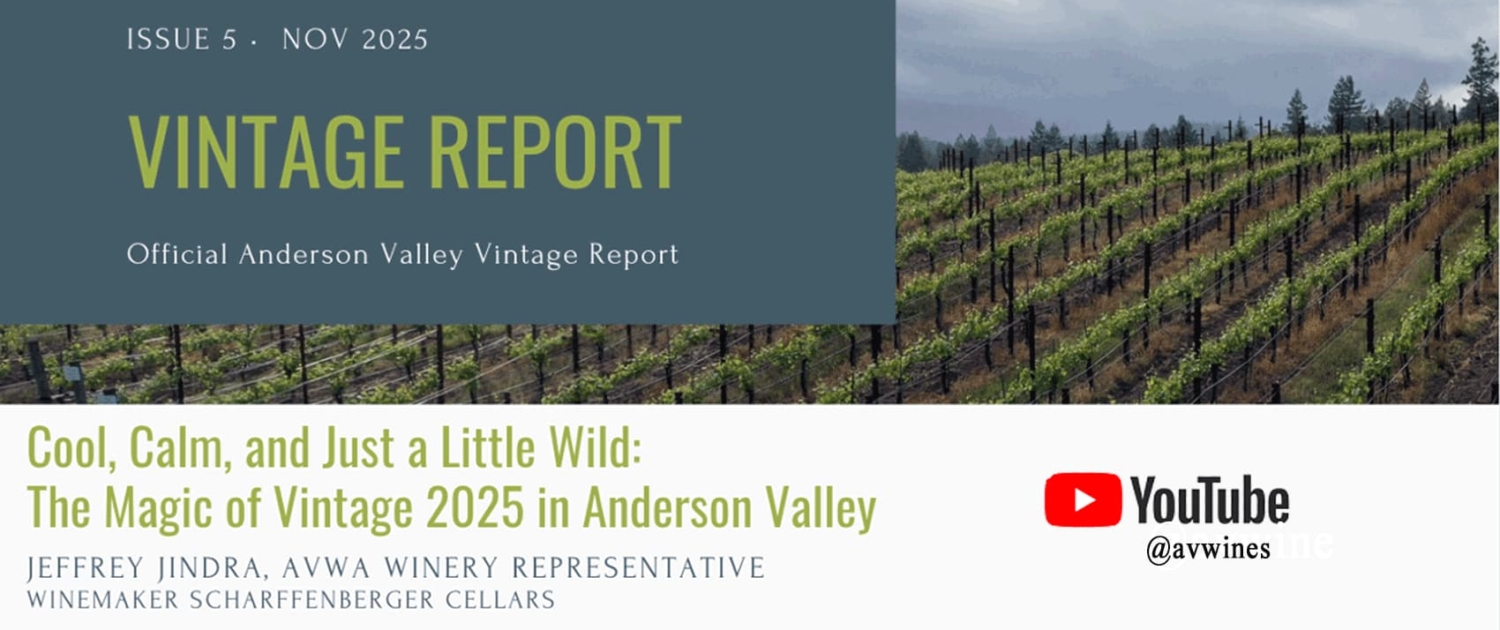 Vintage-2025-Report-on-YouTube Wide Banner