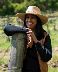 Holding post in the vineyard