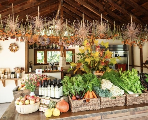 Velma's Farm stand Filigreen Farm