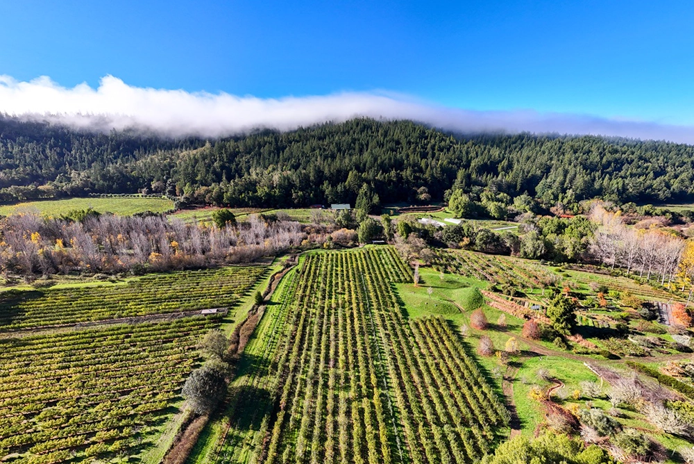 Organic and Biodynamic Filigreen Farm