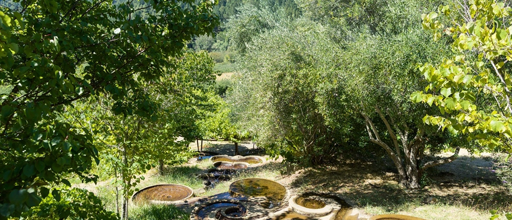 sizedfiligreenflowform Flowform