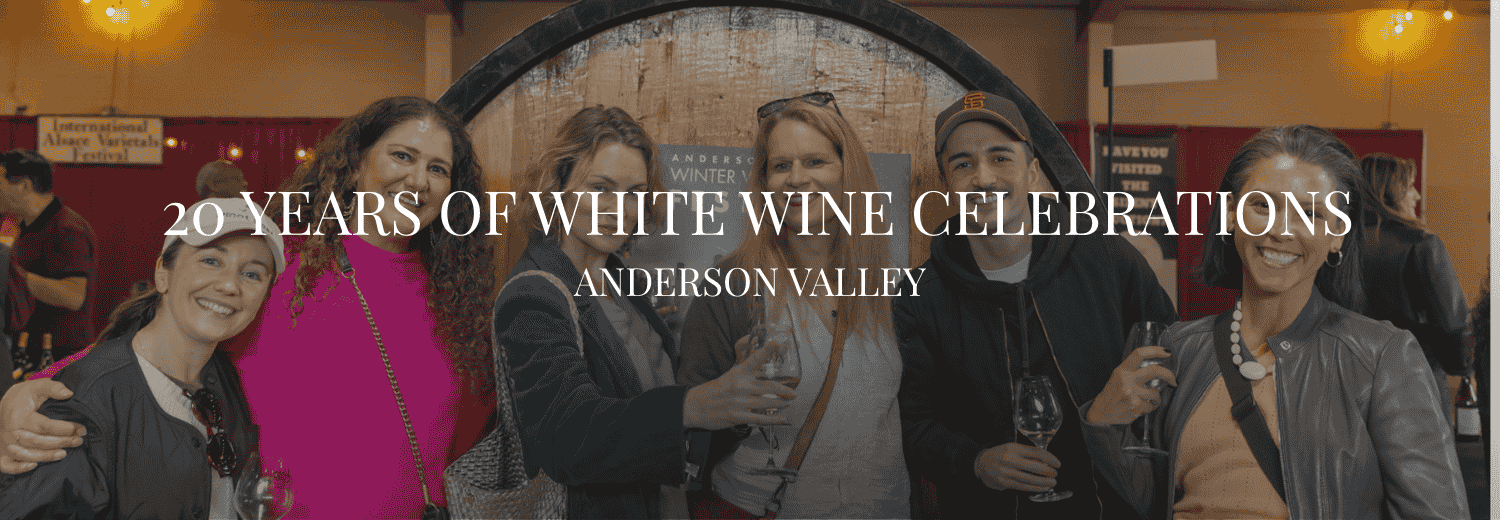 20 YEARS OF WHITE WINE FESTIVALS