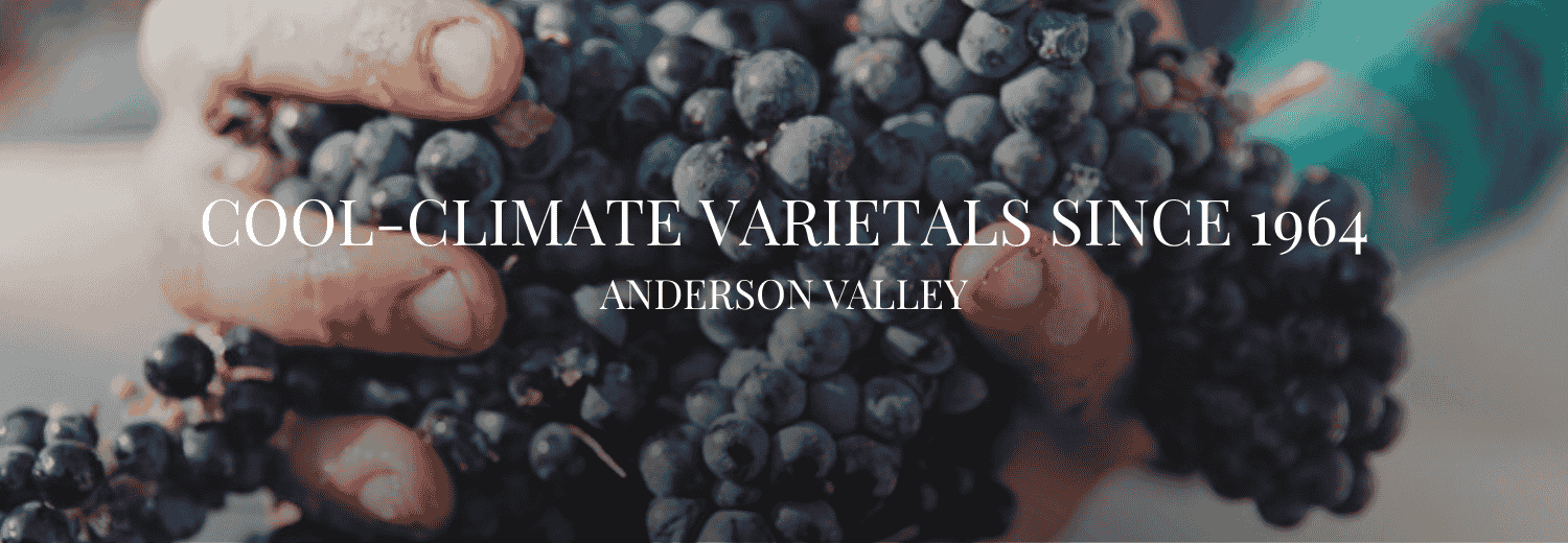 COOL-CLIMATE VARIETALS SINCE 1964