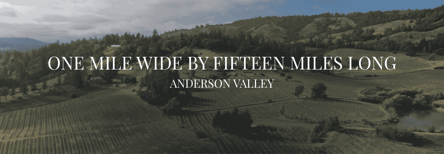 FIFTEEN MILES OF HILLSIDE VINEYARDS