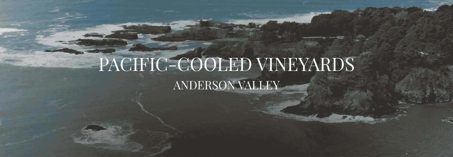 PACIFIC-COOLED VINEYARDS ANDERSON VALLEY