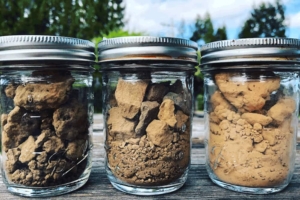 Soil diversity in vineyard