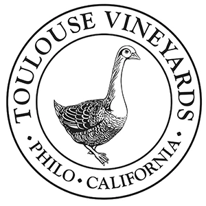 toulouse_logo_square.webp