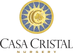 Casa-Cristal.webp
