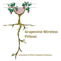 Grapevine-Wireless.webp